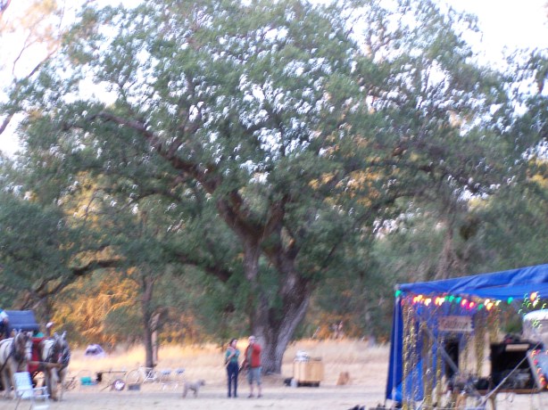 Muffin-big rock May 2007 025